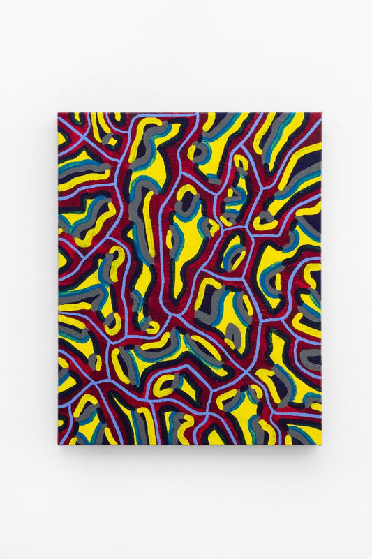 Revealing Symbiosis [30”x24”]