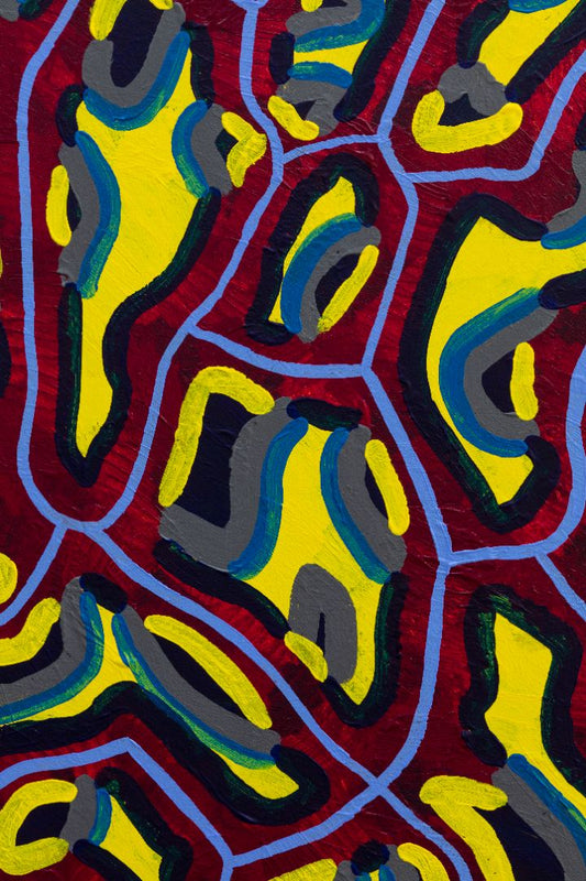 Revealing Symbiosis [30”x24”]